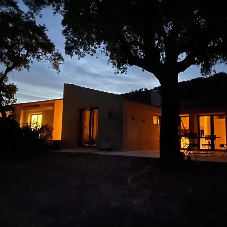 Villa Vallaury Le Plan-de-la-Tour Dış mekan fotoğraf