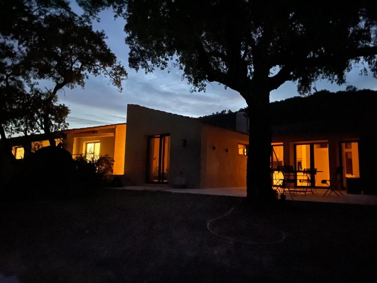 Villa Vallaury Le Plan-de-la-Tour Dış mekan fotoğraf